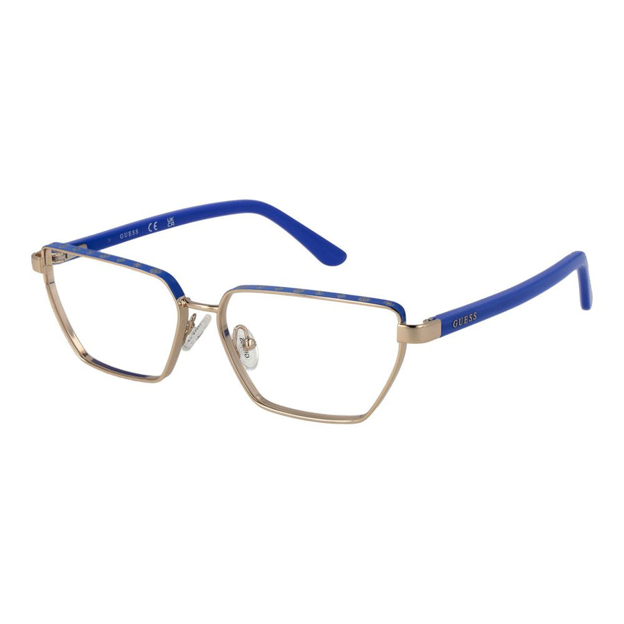 Gold Metal Glasses (Frames)