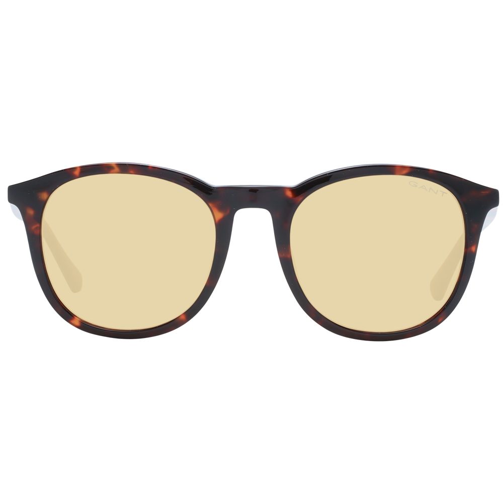 Brown Plastic Sunglasses