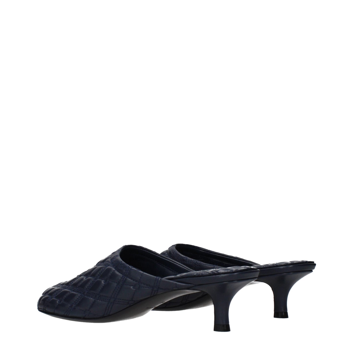 Blue Leather Slippers