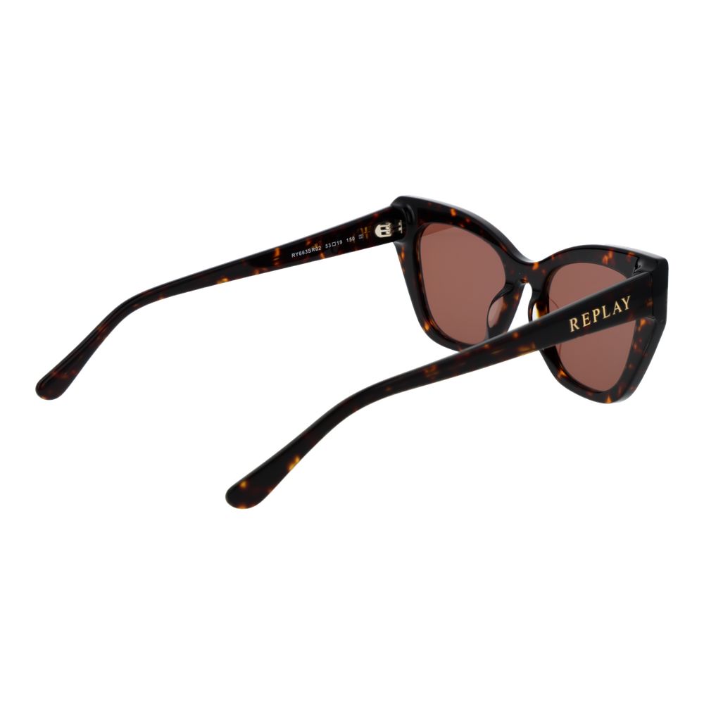 Brown Plastic Sunglasses