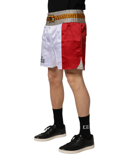 Multicolor Italia Polyester Bermuda Shorts