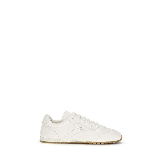 Beige Lamb Ovis Aries Aries Low Top Sneakers