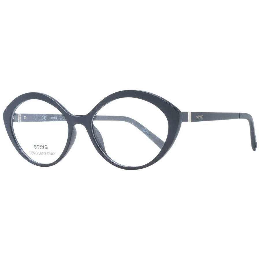 Black Plastic Glasses (Frames)