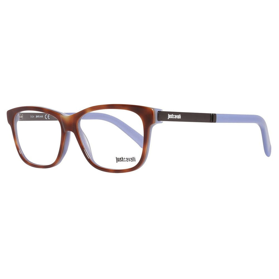 Brown Plastic Glasses (Frames)