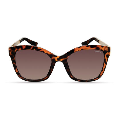 Brown Injected Sunglasses