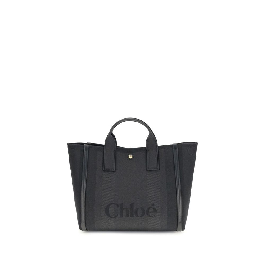 Carry Handbag