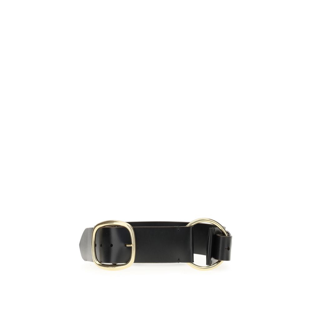 Anita Belt