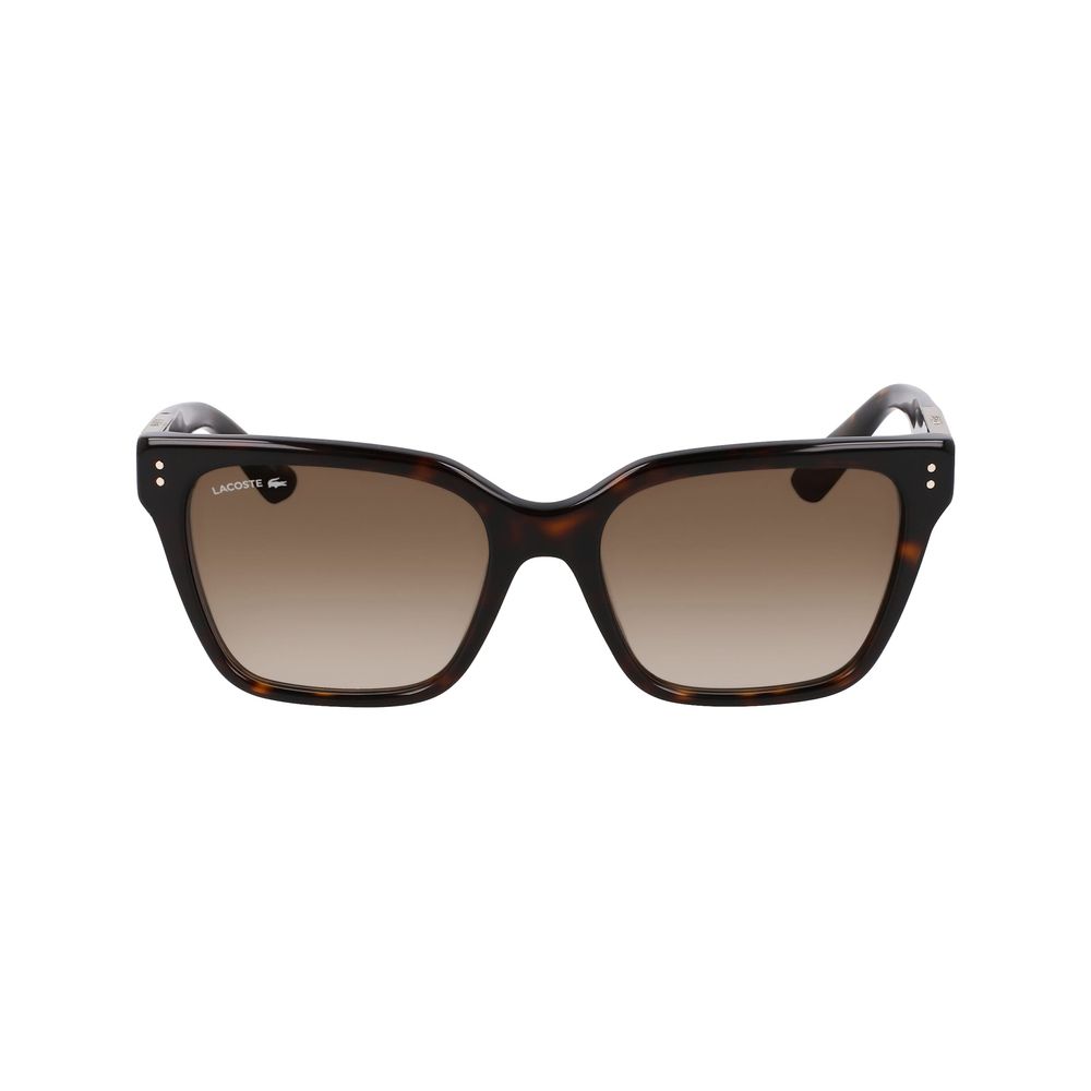 Brown Acetate Sunglasses