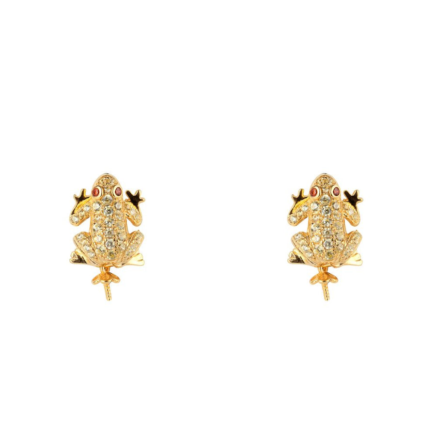 Gold Silver Earrings